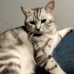 Василий Забитчук