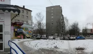 Фотография Белый кот 3