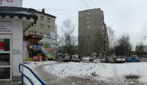 Фотография Белый кот 4