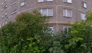 Фотография Домашняя фея 1