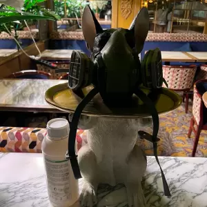 Фотография ДезУрал 1